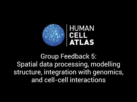 Spatial data processing, modelling structure, genomic integration and cell-cell interactions - HCA