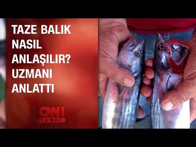 taze baligi anlamanin 8 kolay yolu nefis yemek tarifleri