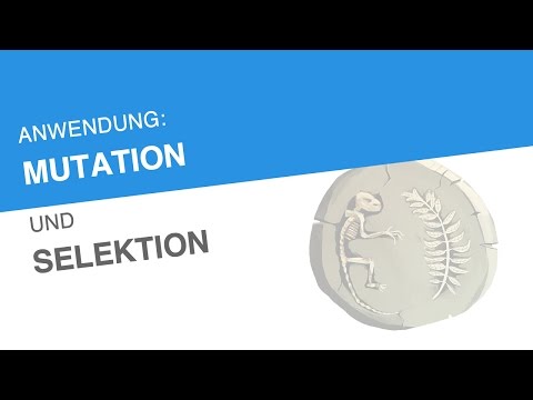 ANWENDUNG: MUTATION UND SELEKTION | Biologie | Evolutionsbiologie