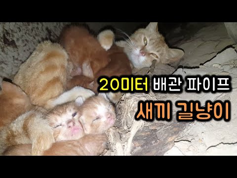 아이콘