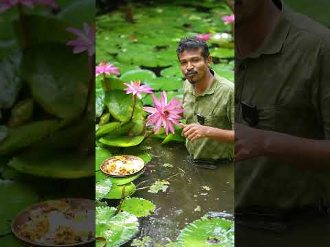 You Can Actually Eat Lotus Flowers! 🍽️🌺 #foodsurprise