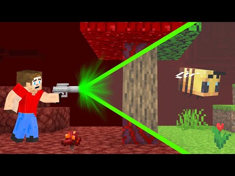 We Transformed The NETHER Into The OVERWORLD in Minecraft!