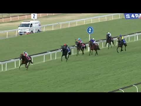 2021.05.01 Gerald Rosenberg Stakes (RSA) - Netta