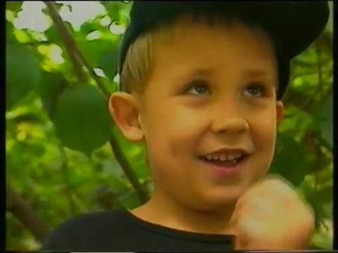 Pokémon Doku von der ARD aus dem Jahr 2000