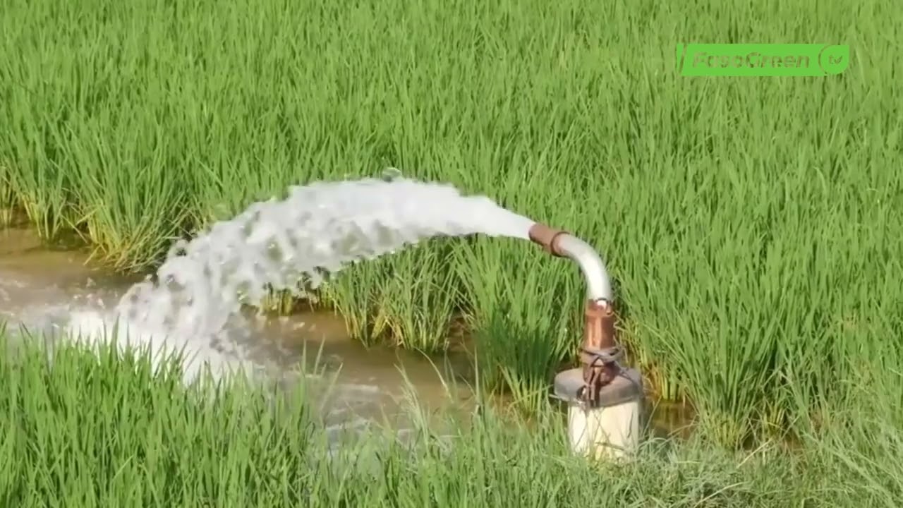 France : une sécheresse inédite conduit à des restrictions sur l'eau