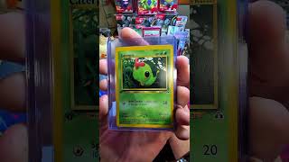 #pokemon #pokémon #vintagepokemoncards #yuka #clay #pokemonchannel #pokemontcg #pokemoncards #tcg