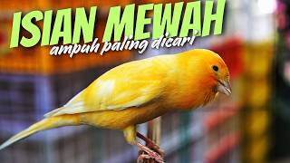 Download lagu SUARA KENARI GACOR ISIAN MEWAH BLACKTHROAT DAN SIKATAN LONDO COCOK BAUT MASTERAN KENARI BAHAN JUARA mp3