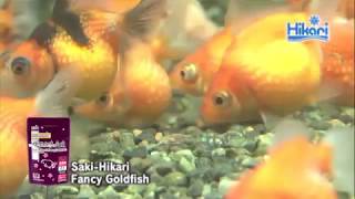 SAKI-HIKARI Krmivo Fancy Goldfish Color, 200 g