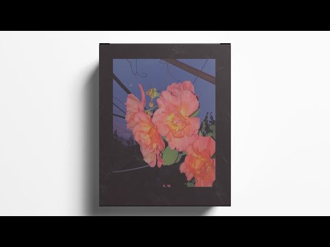 FREE Trap Loop Kit/Sample Pack 2020 "MAGNOLIA" | (Gunna, Internet Money, Lil Baby, Roddy Ricch)