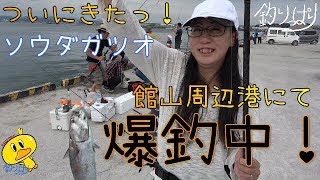ついに回遊！ソウダガツオ乱舞！みんなで爆釣祈願！(*'▽')【釣りっぱり】