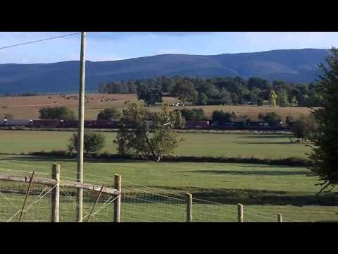 Norfolk Southern Train 15T At Wilda