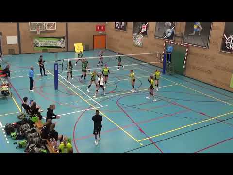 Anlène van der Meer