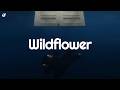 Billie Eilish WILDFLOWER Lyrics