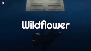 Billie Eilish - WILDFLOWER (Lyrics)