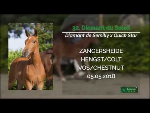 32 Diamant du Soleil (Diamant de Semilly x Quickstar)