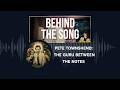 Pete Townshend: The Guru Between The Notes