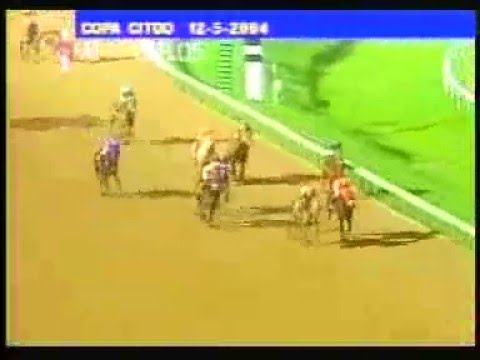 Copa Invitacional de Importados del Caribe 2004