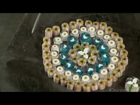 How It's Made - MILLEFIORI GLASS PAPERWEIGHTS