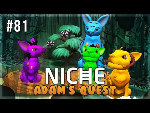 A Colorful Collection of Frogs! | Niche Let's Play • Adam's Quest - Episode 81