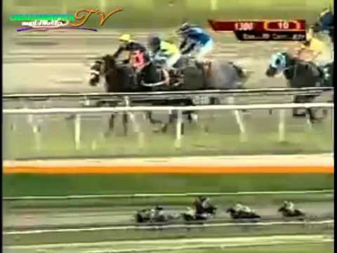 LA RINCONADA 10 CARRERA DOMINGO 05 DE OCTUBRE DEL 2014