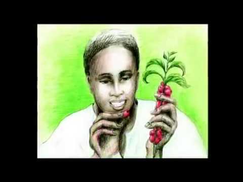 download lagu mp3 mp4 Ethiopian Coffee History, download lagu Ethiopian Coffee History gratis, unduh video klip Ethiopian Coffee History