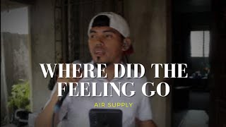 Air Supply - Where did the feeling go (cover)
