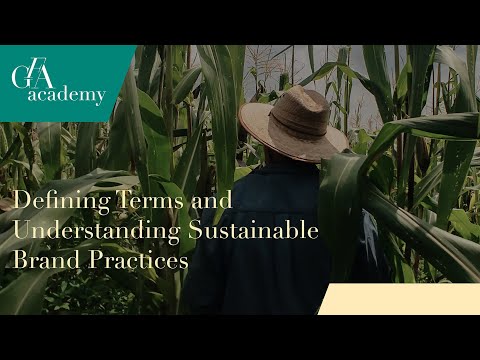 Consumer Masterclass: Defining Terms and Understanding Sustainable Brand Practices