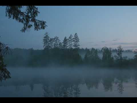 一輪ノ歌 - Taro Iwashiro ("Ask This of Rikyu")