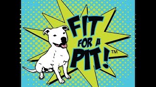 Góð leið til að fá hund til að vera í skóm