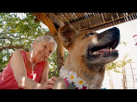 We're All Pack Animals, A Mutual Rescue Moment