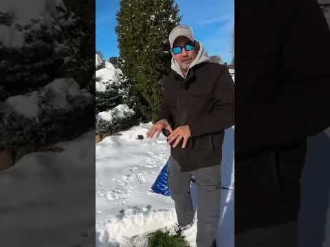 Schnee schafft ein Mikroklima ❄️ #rasenwissenschaftler #schnee #nordindiana #kaltejahreszeitgrasa...