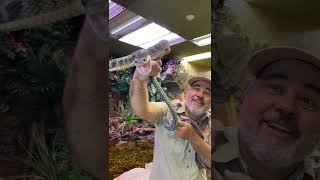Holding a venomous snake! 🐍 😳 by Prehistoric Pets TV