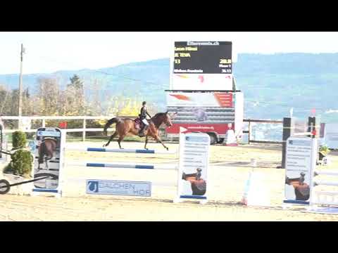 Je Teva CS Wädenswil, 18.04.2021, R/N130 Grundparcour