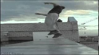 GIF compilation from 2014-02-11 and 2014-02-06, funny, gif, wtf