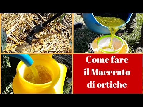 Pene programma di ingrandimento Curare limpotenza per gli uomini di acquistare nelle farmacie