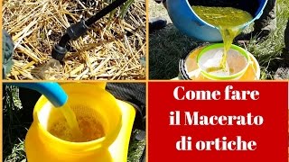 Anteprima video YouTube