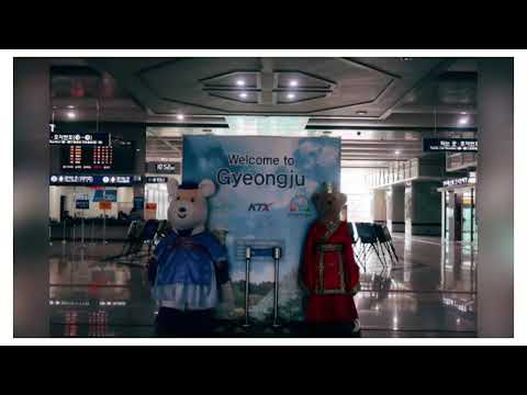 Viagem de um dia para Gyeongju!✈️ Viagem à Coreia do Sul