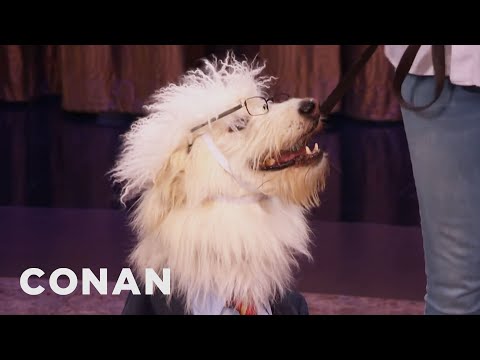 Halloween Costumes For Pets | CONAN on TBS