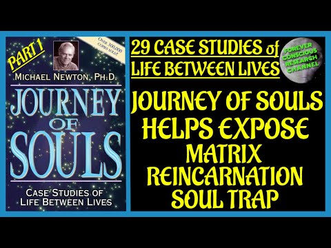 Pt 1 Analysis 29 Case Studies of Life Between Lives Matrix Reincarnation Soul Trap Journey of Souls