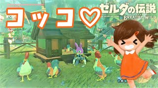 大事件発生です！消えたコッコちゃんを探せ！！【ゼルダの伝説ブレスオブザワイルド女性実況】～今日もゼルダを救えない#96