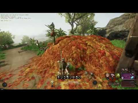 Bananafarm Luck Test