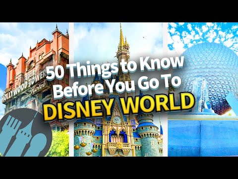 50 Most Important Things to Know Before You Go To Disney World