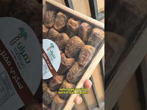 Video Kurma Asyraf