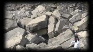 Half Sister - Gold (Sarah Aument)