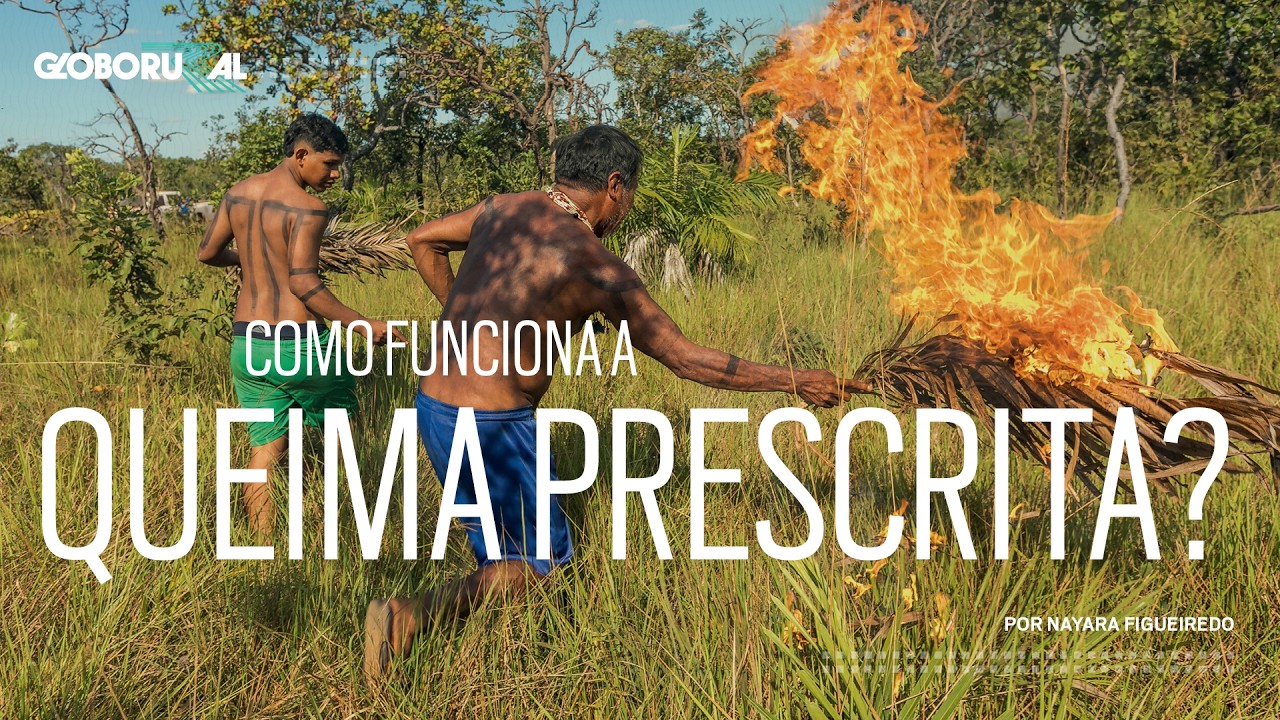 Como funciona a queima prescrita? | Globo Rural
