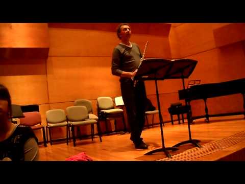 Jean Ferrandis Flute