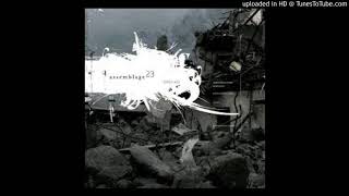 Assemblage 23 - Ground (Acoustic Version) 2004