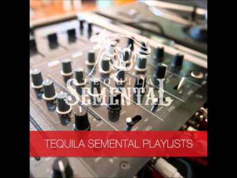 Tequila Semental - Ricky J 'Whatta Night'