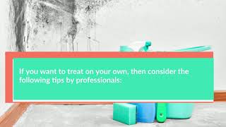 Cleaning Mould And Mildew Reliable Tips By Pros