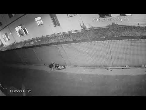 Thinklink AHD F23+FH8536H(V30H) 2MP 4 In 1 PCB Board  night video